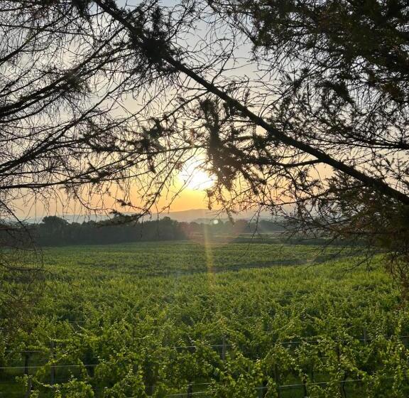 هتل Cruna Di Subida Wine Country House
