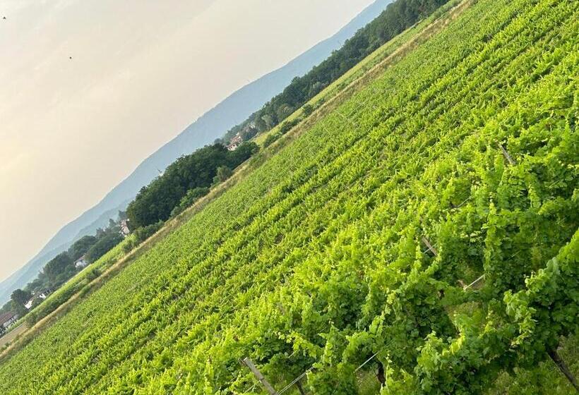 هتل Cruna Di Subida Wine Country House
