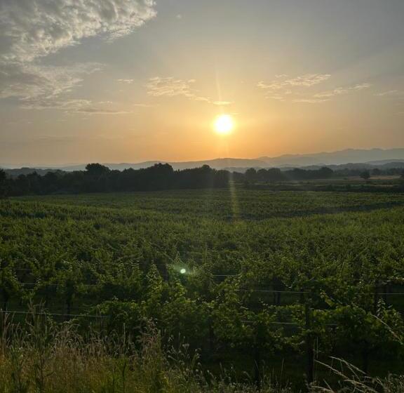 هتل Cruna Di Subida Wine Country House