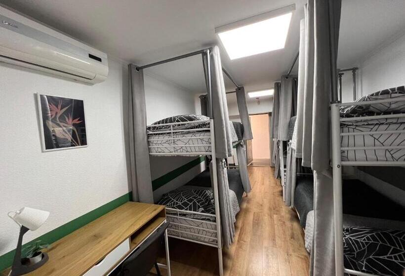 Albergue хостел житомир Green House