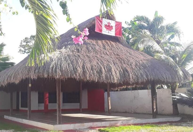 هاستل Canadian House Mucura