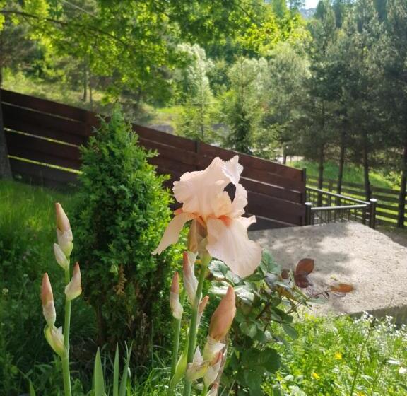 Pensiunea Sara Pe Deal