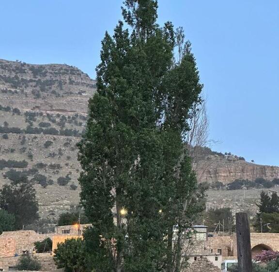 هاستل Dana Historic Village