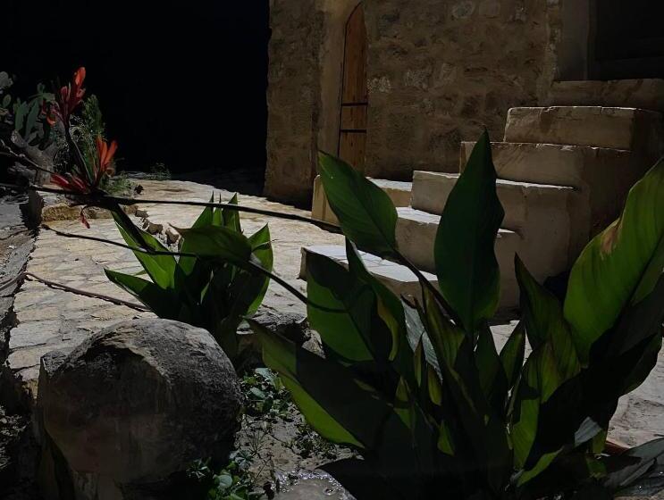 هاستل Dana Historic Village