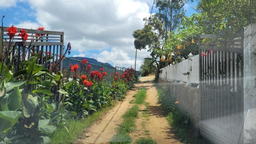 Bed and Breakfast Shadow Mask Bungalow