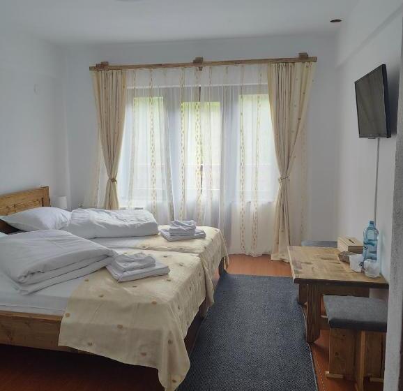 Pensiunea Trei Brazi Arieseni