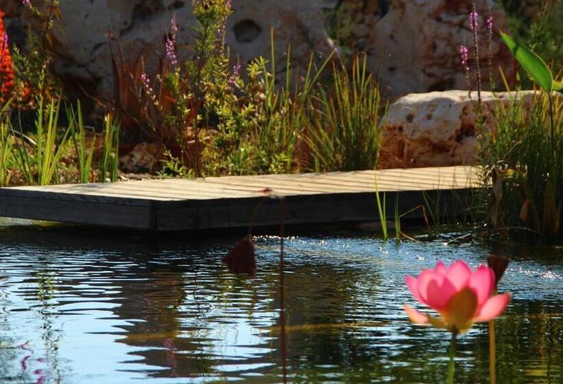پانسیون Il Fiore Della Vita Trulli Country House