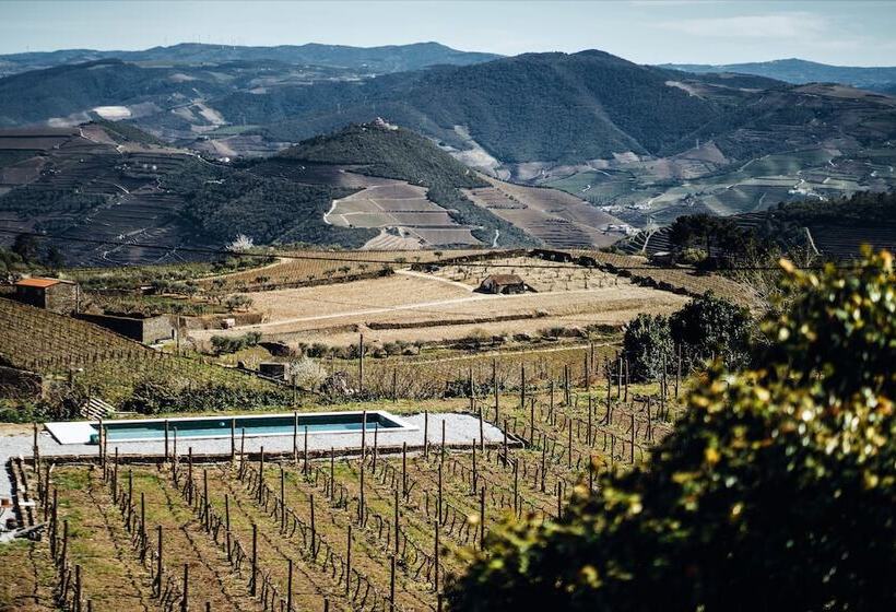 酒店 Casa Do Santo   Wine & Tourism