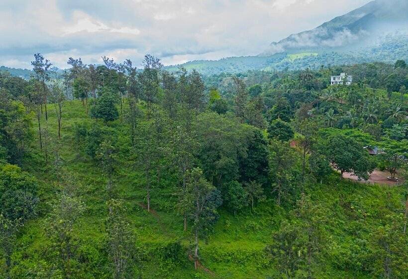 酒店 Misty Heights By The Sanihara