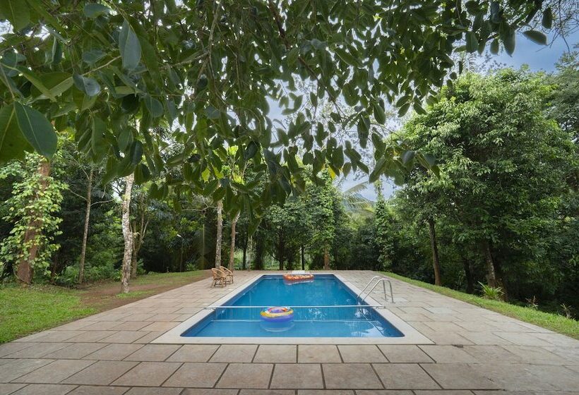 酒店 Misty Heights By The Sanihara