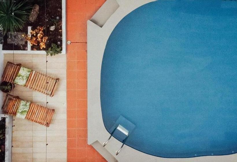 پانسیون Hostal Pimampiro