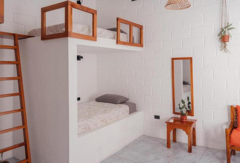 پانسیون Hostal Pimampiro