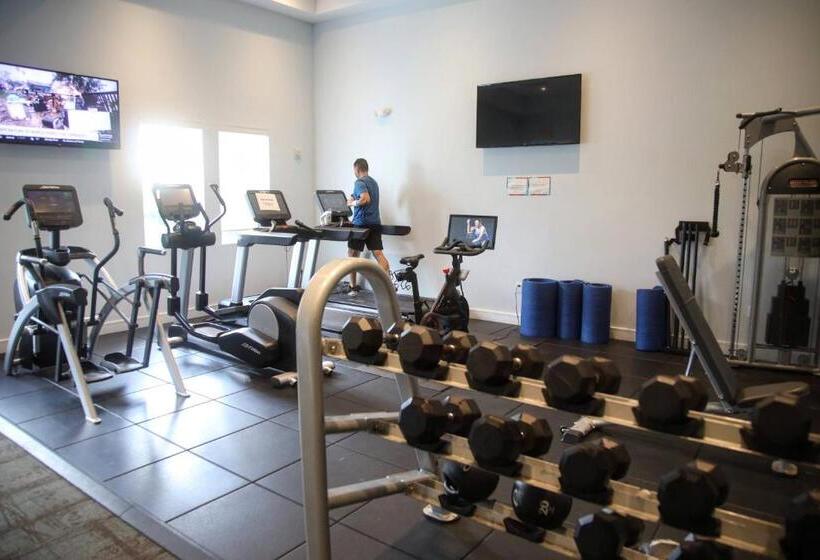 Upscale Resort Villa In The Heart Of Miami