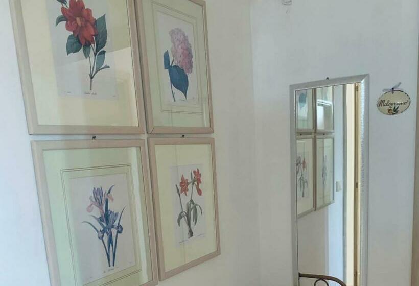 B&b Dal Contadino