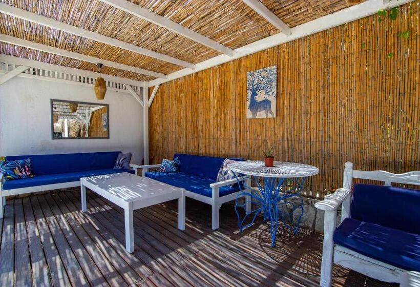تختخواب و صبحانه Ladonia Hotels Zemda Gümüşlük