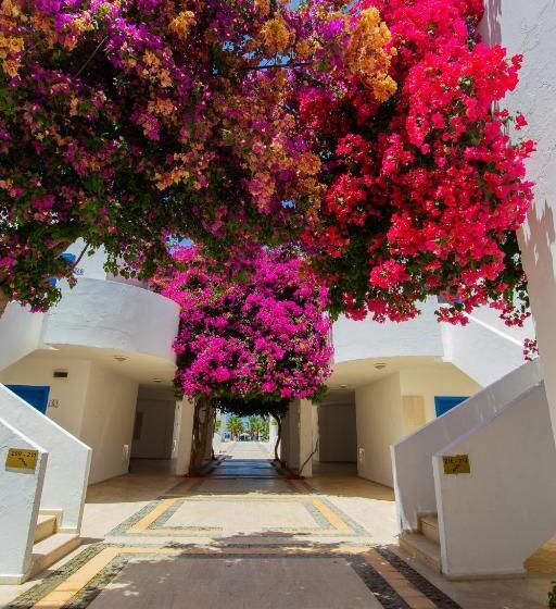 تختخواب و صبحانه Ladonia Hotels Zemda Gümüşlük