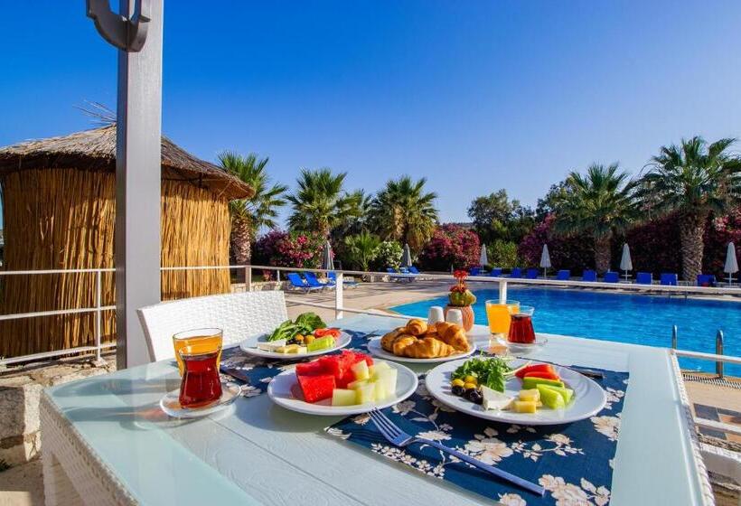 تختخواب و صبحانه Ladonia Hotels Zemda Gümüşlük