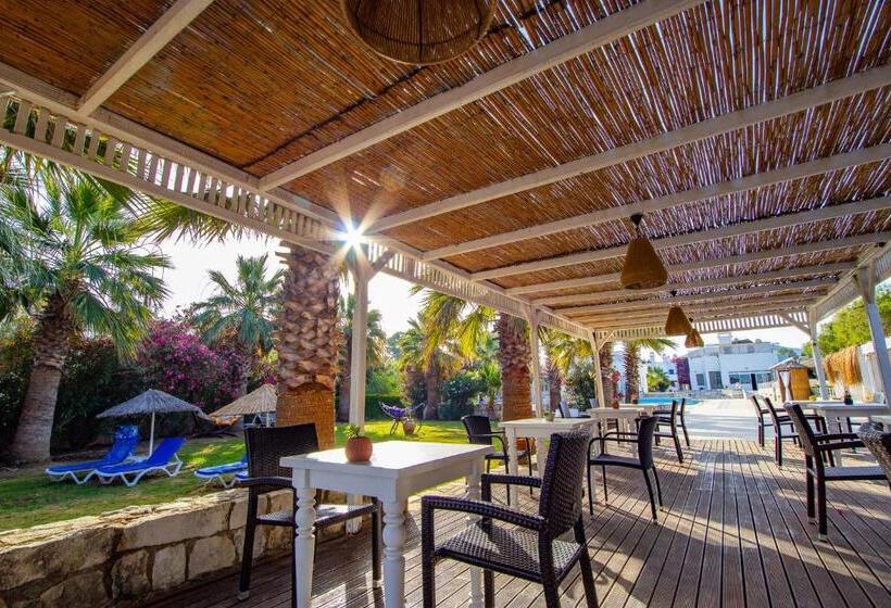 تختخواب و صبحانه Ladonia Hotels Zemda Gümüşlük