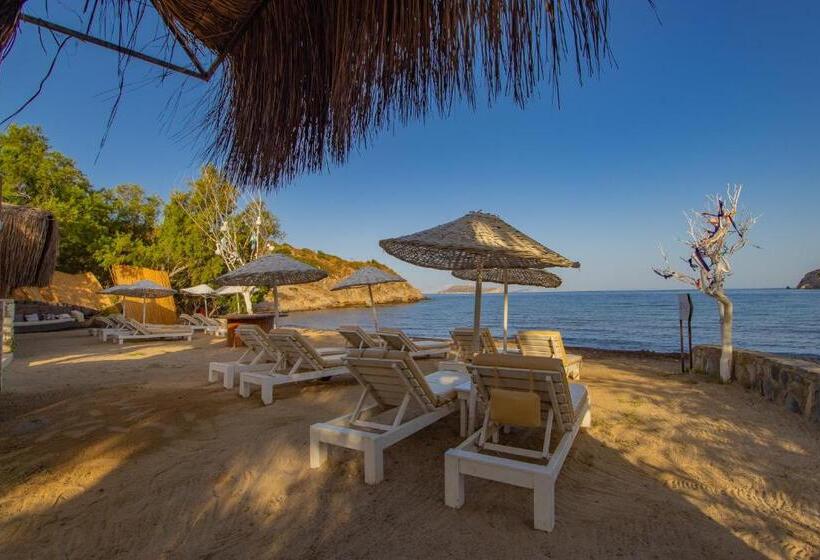تختخواب و صبحانه Ladonia Hotels Zemda Gümüşlük