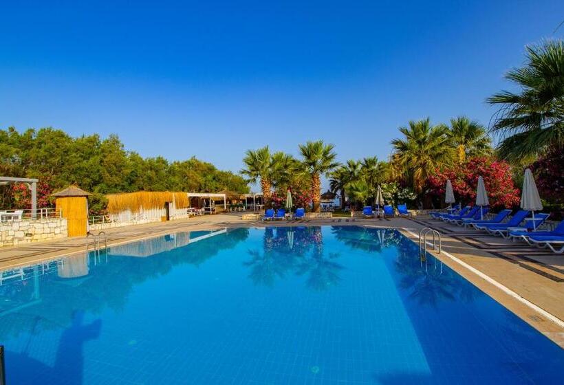 تختخواب و صبحانه Ladonia Hotels Zemda Gümüşlük