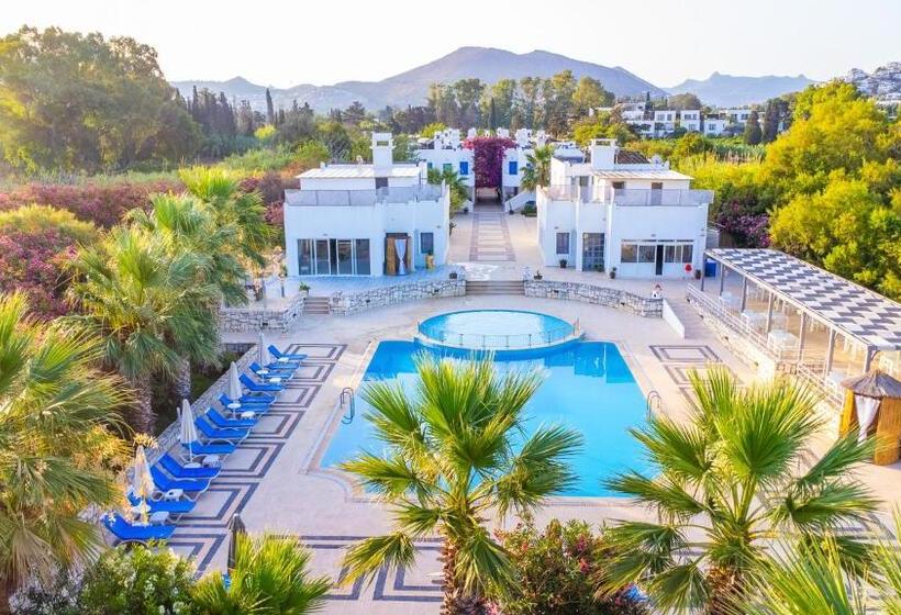 تختخواب و صبحانه Ladonia Hotels Zemda Gümüşlük