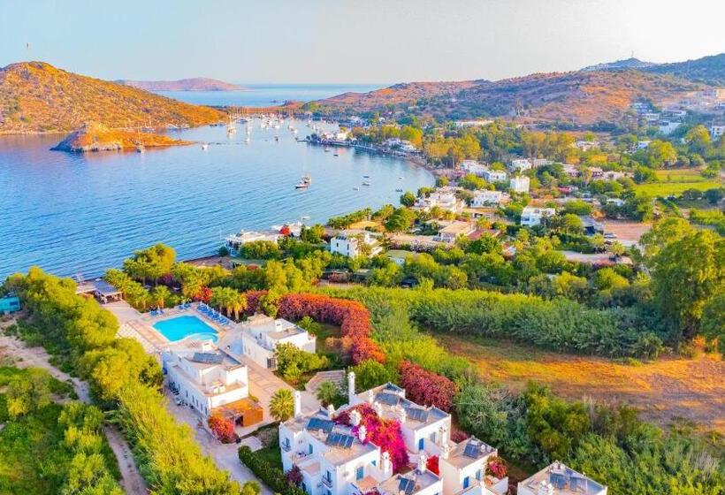 تختخواب و صبحانه Ladonia Hotels Zemda Gümüşlük