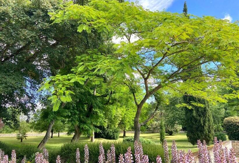 Пансион Le Domaine De La Gravette