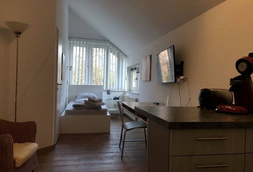 هتل Apartmenthaus Somborn