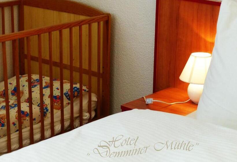 Отель Demminer Mühle