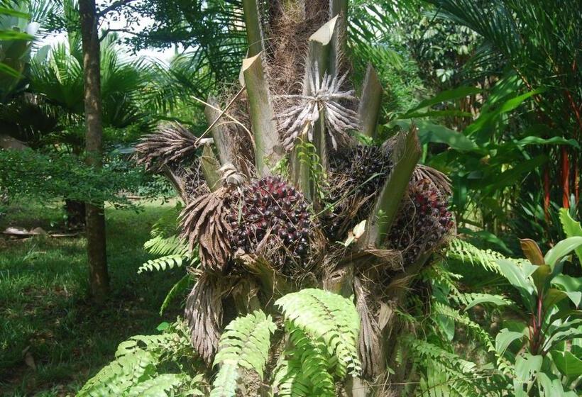 فندق Khaosok And Spa