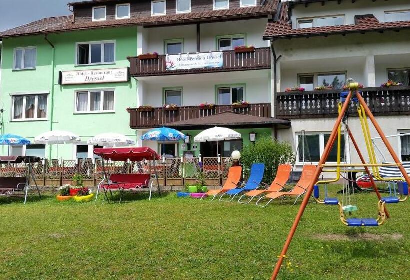 هتل Pension Dressel