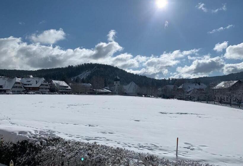 هتل Sonne Garni