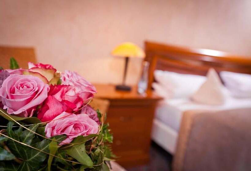 בית מלון כפרי Spies