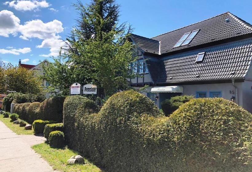 هتل Pension Zum Brauhaus
