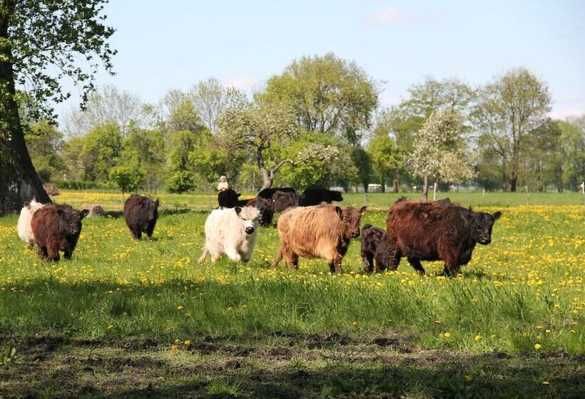 Landhotel Löwenbruch