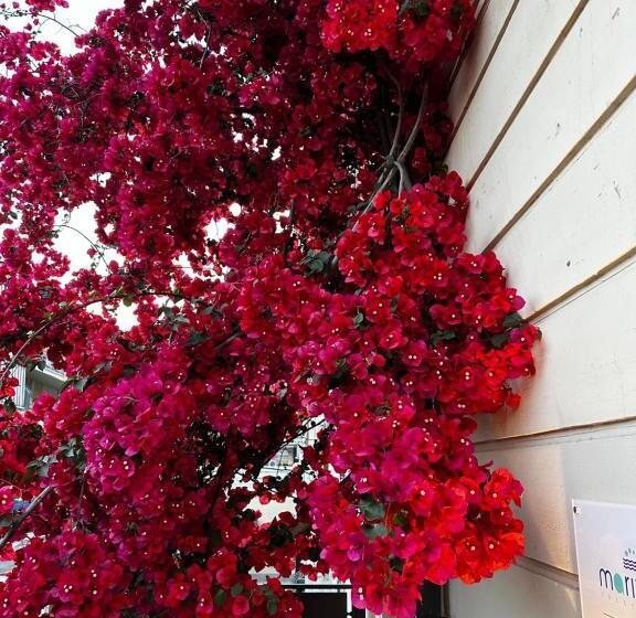 تختخواب و صبحانه Mariviva Guest House