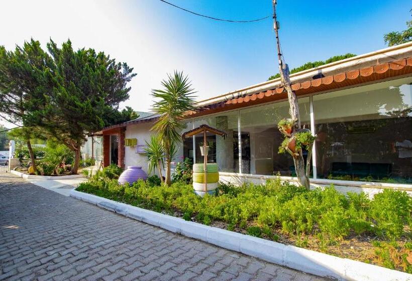 호텔 Pi̇gale Beach Resort