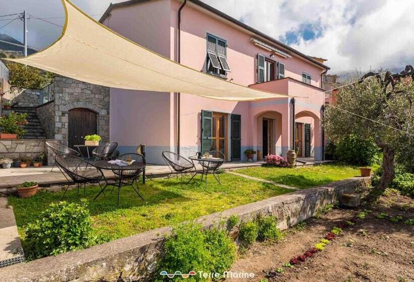 膳宿费 Affittacamere Niria, Terre Marine