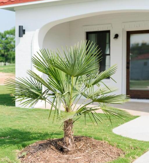 리조트 La Palmilla Texas