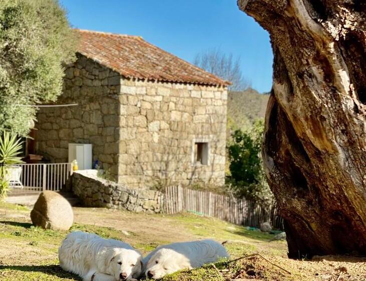 هتل Les Bergeries De Figari