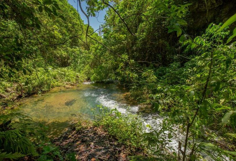 هتل Niebli Historical Farm And Lodge At Pululahua Volcano