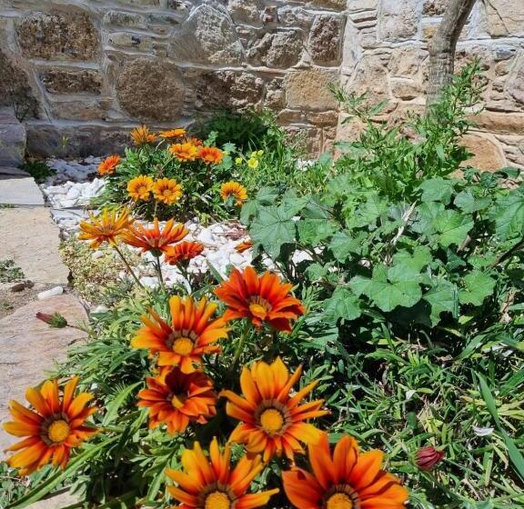 בית מלון כפרי Madran Evi