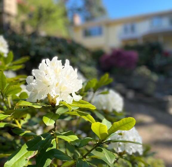 פנסיון The Rhodo Place