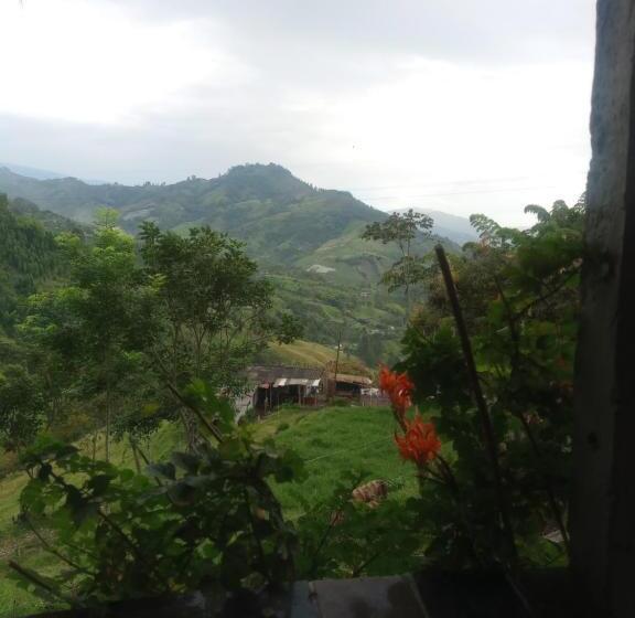هتل Las Hamacas