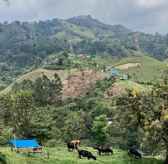 هتل Las Hamacas