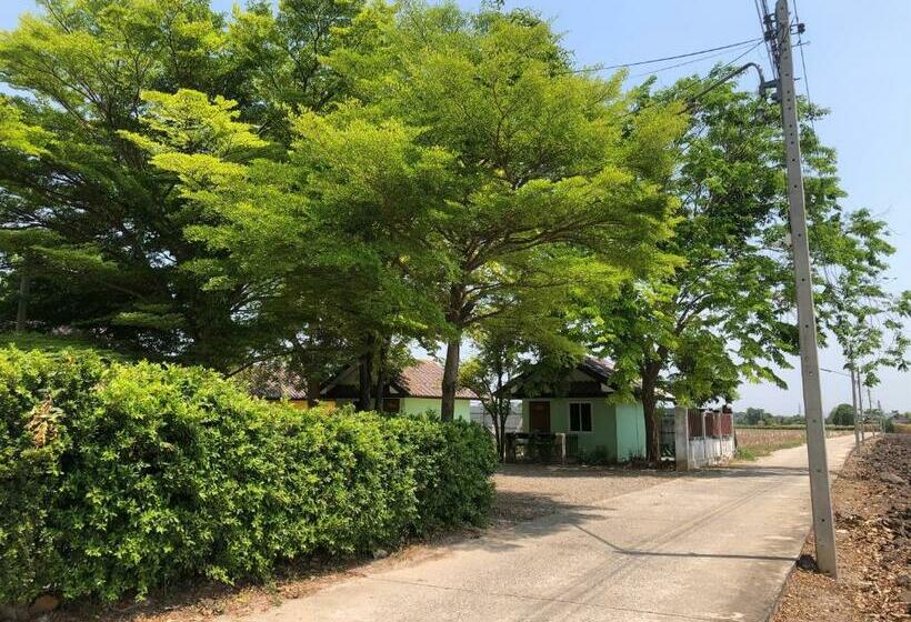 پانسیون Ban Rai Plai Na บ้านไร่ปลายนารีสอร์ท