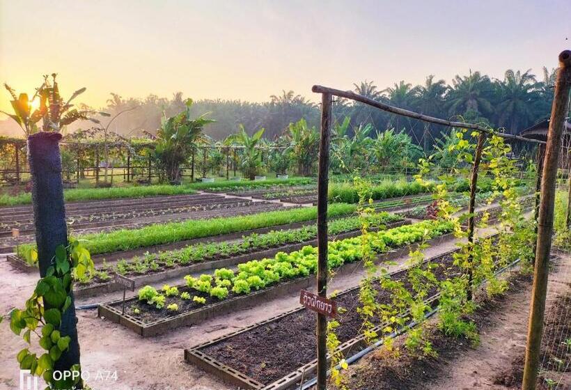 אתר נופש Phonphusang Utopia Farmstay