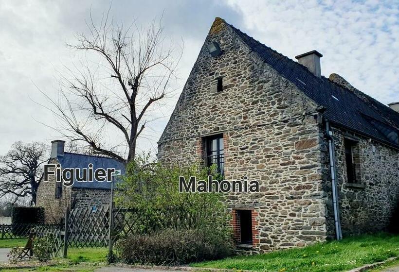 هاستل L Auberge De La Porte