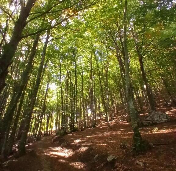민박 Il Giardino Di Crès