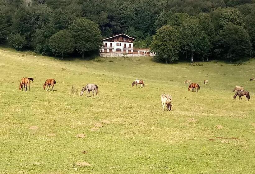 민박 Il Giardino Di Crès
